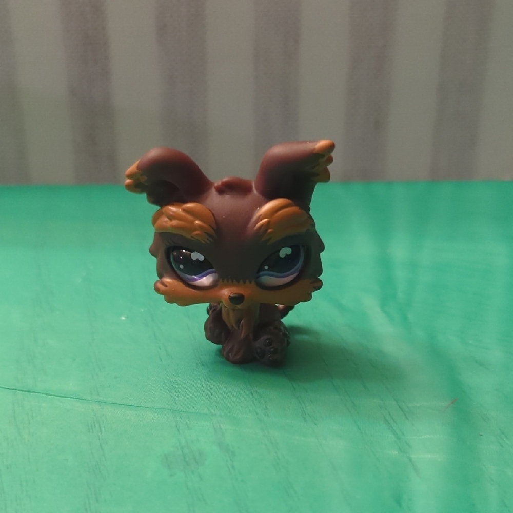 LPS #509